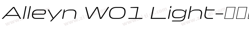 Alleyn W01 Light字体转换